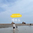 서화성농업협동조합 하나로마트 | 제부도 아이와 가볼 만한 곳, 갯벌체험부터 제부 랜드까지 가족여행 후기(1편)