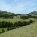 읍하목장 이미지