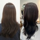 대구 달서구 하우룸헤어 죽전점 허쉬컷 딥바이올렛 염색 유정쌤 후기