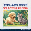 리엔동물의료센터 이미지