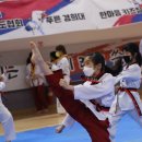 용인대 시선 태권도장 이미지