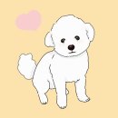 정마루호박꽃 | 블챌 6주차