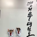캥거루태권도 네이버블로그
