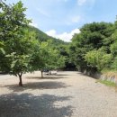 호두나무 펜션 이미지