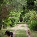 사오농장 이미지