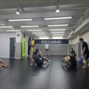 트윈스 MMA 이미지