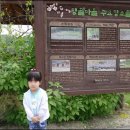 맹골마을 이미지