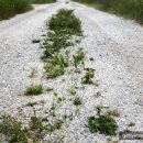 갑자환경(주) 이미지