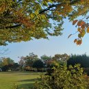 오늘은 종~~일 이미지