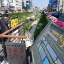 소명여고사거리 ↔ 소명여고입구 이미지