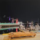 낭만접시 이미지