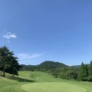 대아골프