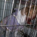 학산지구대 이미지