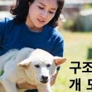 법률사무소율담 이미지