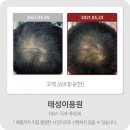 태성이용원 - 동구 팔공로26길 11 | 태성이용원