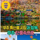 [1만원상품권제공합니다] 24년11월2일(토) 무주단풍속으로 빈자리 있음, 신청바랍니다 이미지