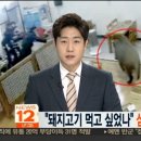 멧돼지집 이미지