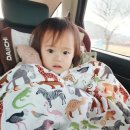 엘림카시트 이미지