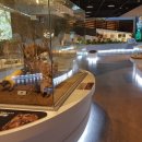 우포늪생태관 이미지