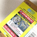 벗 | 한남동 반려동물 용품 수입 편집샵 위글벗 후기