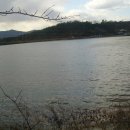 일광1리 이미지