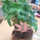 소나무언덕잠실본동도서관 이미지