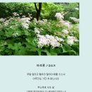 티리 이미지