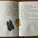 꼭지미용실 이미지