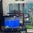 반장즉석떡볶이 군산점 이미지