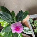 옥계남로5길-1 이미지