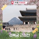 근정전 | 경복궁 근정전 벚꽃 매화 개화 실시간 현황 (+주차, 입장료)