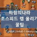 홍돼지사냥