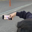 오하효