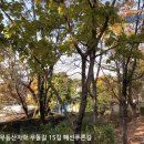 무등산자락 무돌길 15길 푸른길 이미지