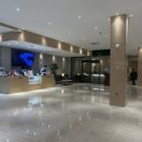 마모이룸 이미지