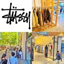 [시드니 쇼핑] 시드니 스투시 오픈런 후기 | 쇼핑 &amp; 텍스 리펀 필수 정보