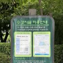 상징가로공원 네이버블로그