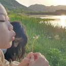 꿈꾸는 언덕 이미지