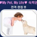 델루와 이미지