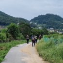 원주굽이길1코스 배부른산길 8/29(화) 원주시 흥업면 이미지