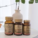 홀로직코리아 유한회사 | 임산부 영양제 솔가 임신 준비부터 출산 후까지 추천 제품 후기