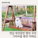 곡성 기차마을 애견동반펜션 | 전남 애견동반 펜션 곡성 기차마을 펜션 어때요