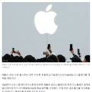 애플, 내년부터 모든 아이폰에 OLED 탑재한다 이미지