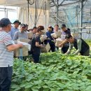 장성군농업기술센터 이미지