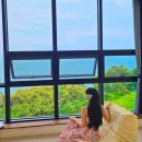 부안 펜션 추천｜오션빌리지104 후기 전객실 오션뷰 &amp; 야외수영장까지 완벽한 풀빌라