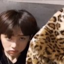 달하루 이미지