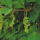 화선농장 이미지