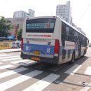 하단동168 이미지