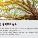 중미목장 네이버블로그