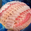 청운산업 | 🐟 충청도 방어 맛집 BEST 5! 겨울 제철 대방어회 꼭 먹어야 하는 이유와 가격은?